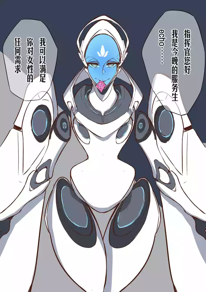 守望先锋ECHO