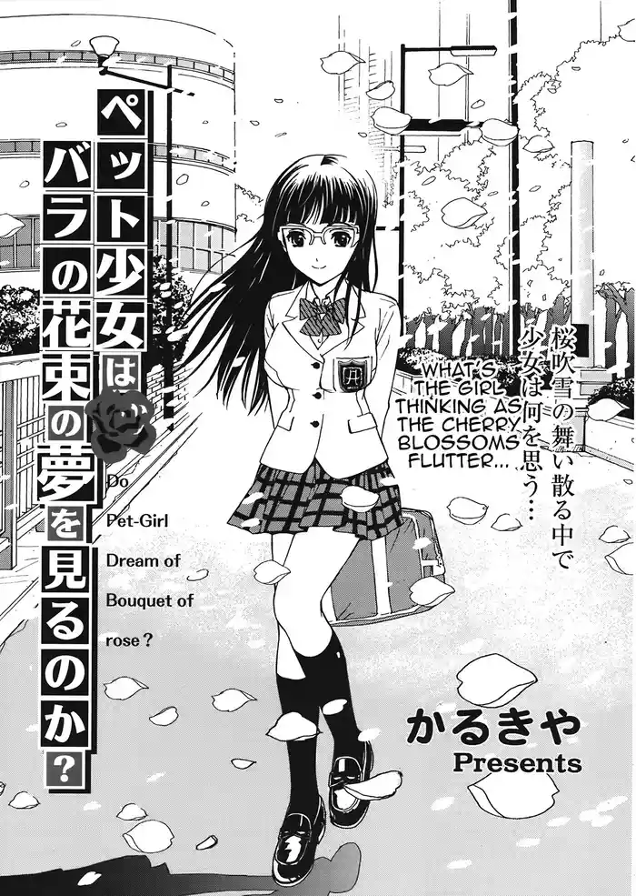 Pet Shoujo wa Bara no Hanataba Yume o Miru no ka?Girl Dream of Bouquet of rose?