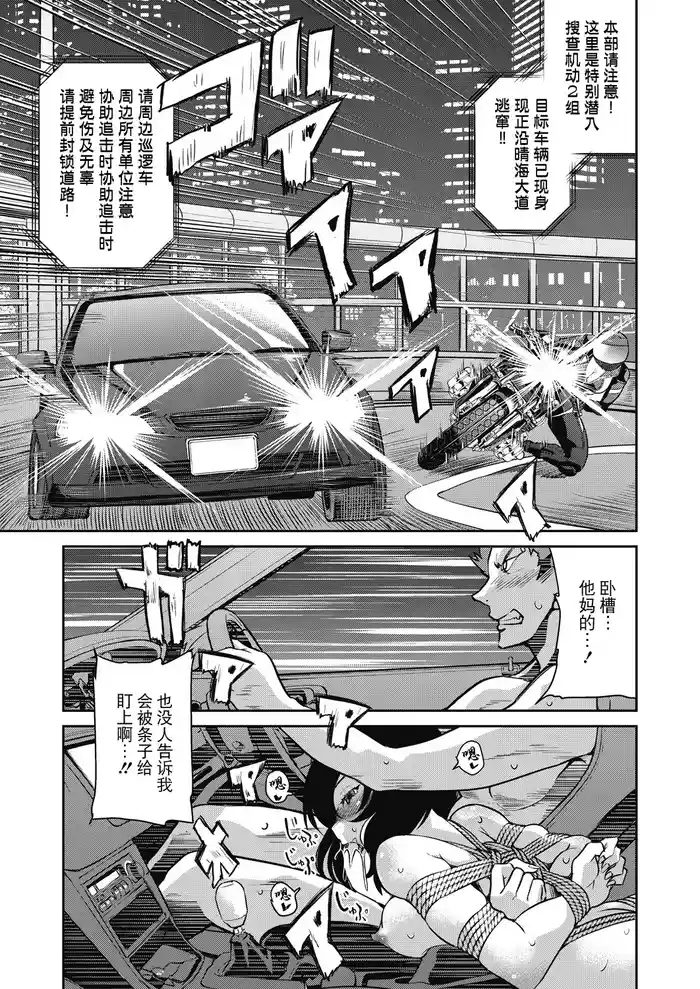 Sennyuu! Inbaku Onna Sousakan File:2