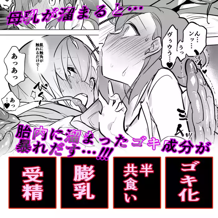 Hitogoki x Gokimesu Shinka-kei