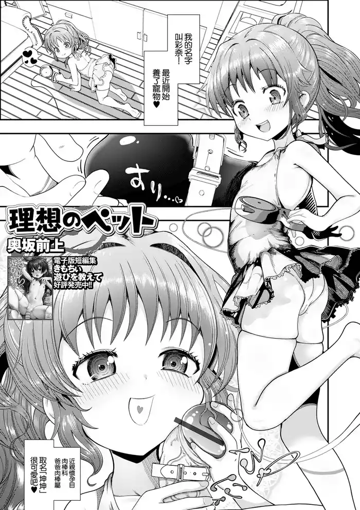 理想のペット