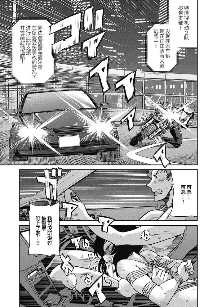 Sennyuu! Inbaku Onna Sousakan File:2