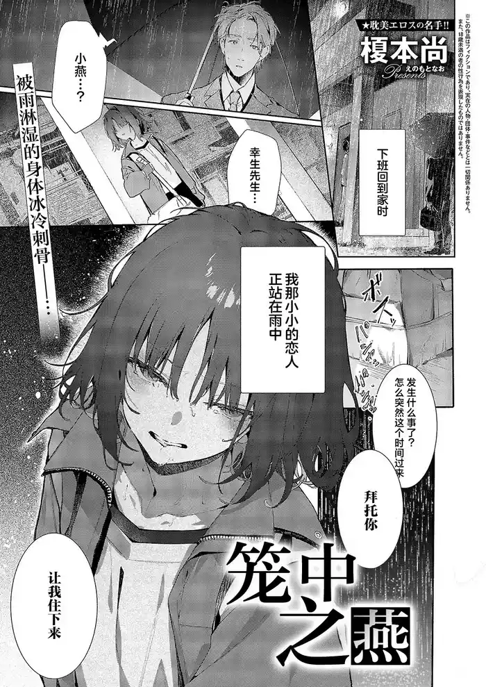Tsubame Cyan No Sugomori | 笼中之燕