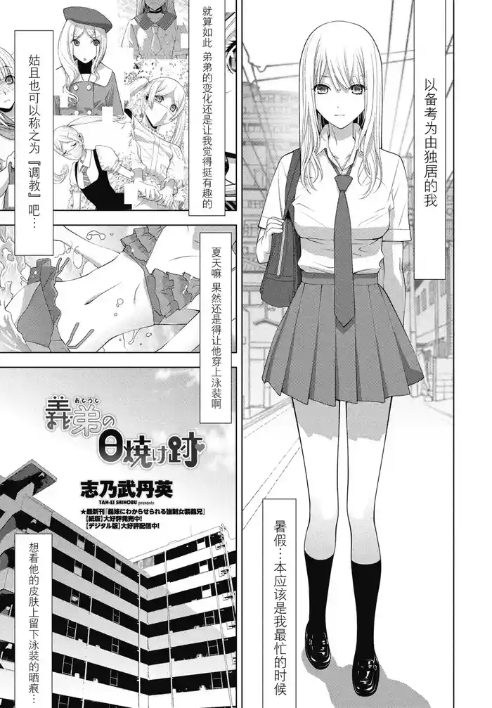 Gitei no hiyake ato