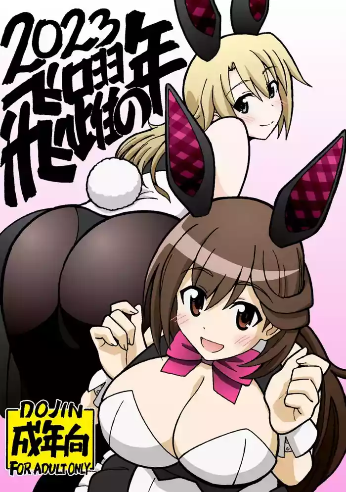 hiyaku no tosi