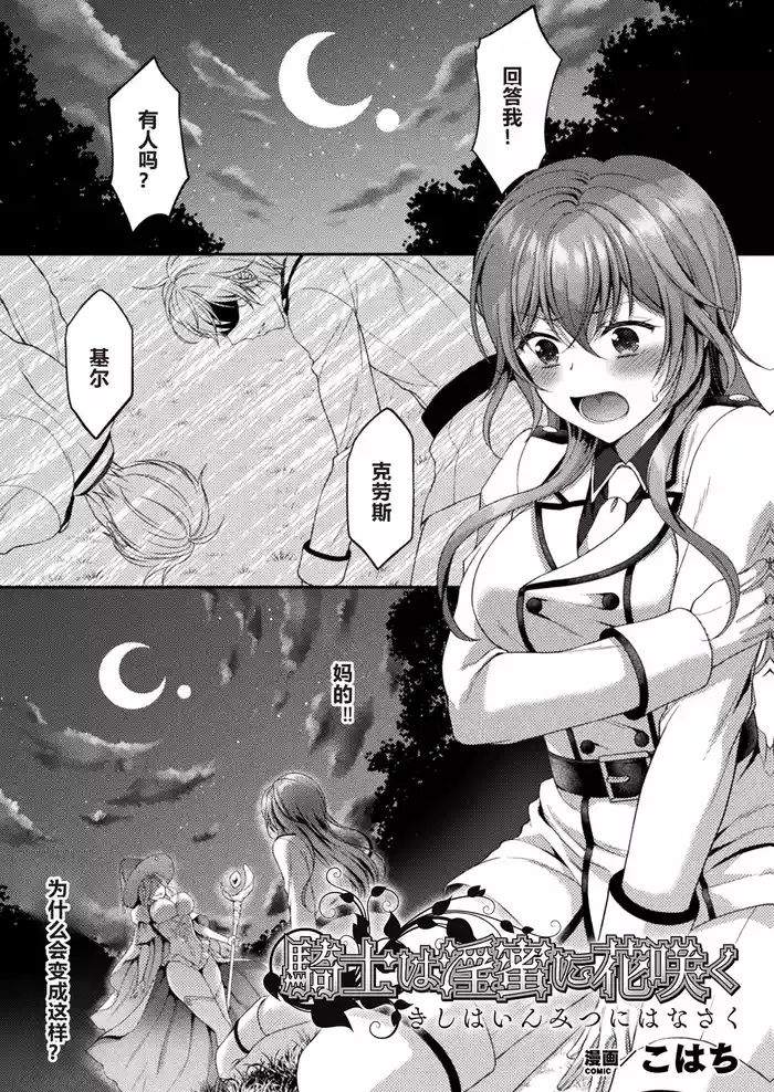 Kishi wa Inmitsu ni Hanasaku