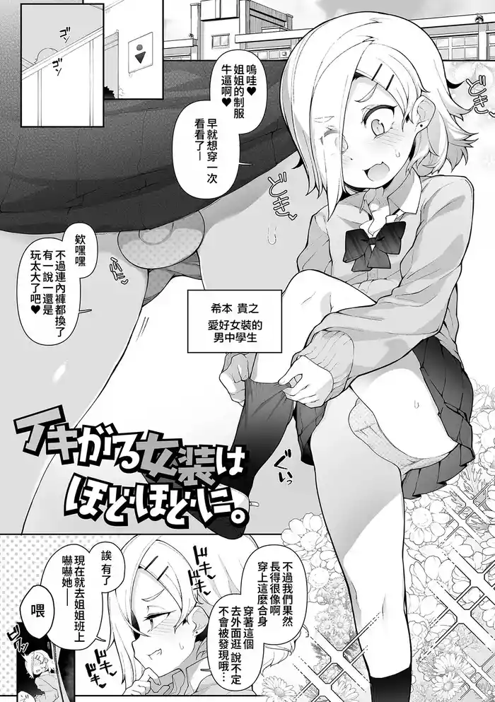 Ikigaru Josou wa Hodohodo ni
