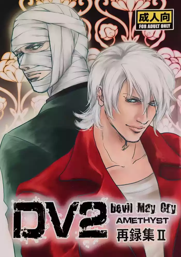 八神DV再録集2