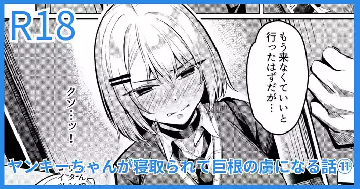 Yankee JK, NTR Kyokon Ochi