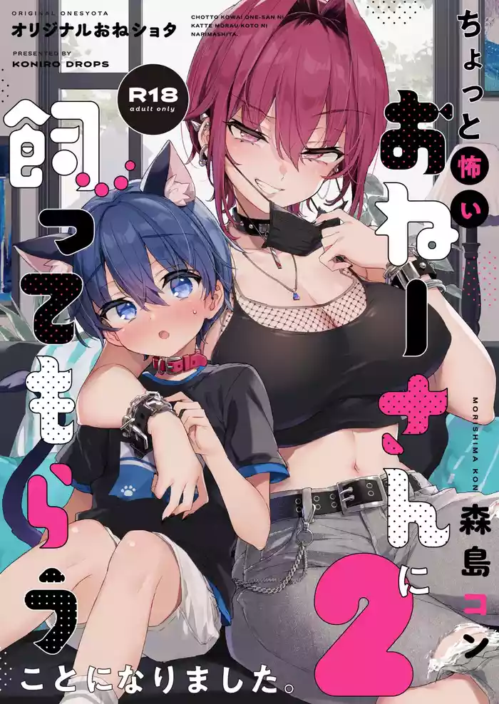 Chotto Kowai Onee-san ni Katte morau Koto ni Narimashita.2