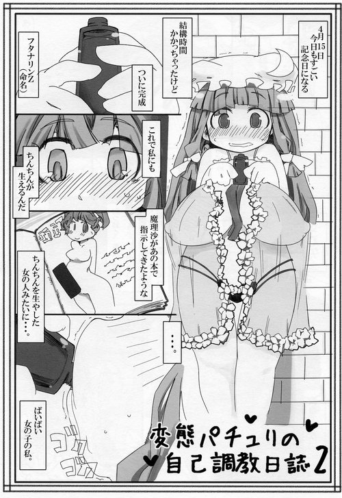 Hentai Patchouli no Jiko Choukyou Nisshi 2