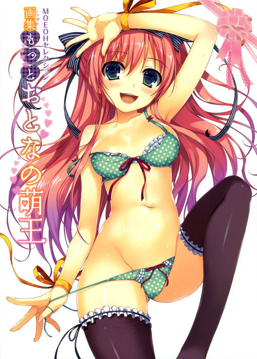 MOEOH Selection Artbook: Motto Otona no Moeoh