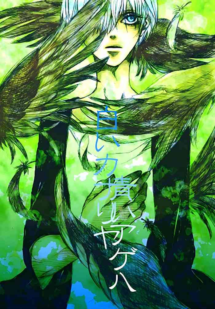 青いカナリヤ 白いアゲハ