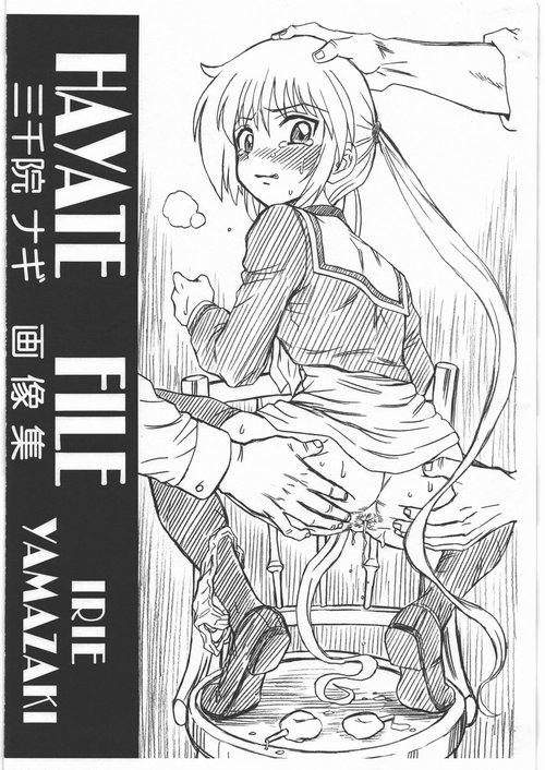 HAYATE FILE Sanzenin Nagi Gazoushuu