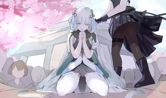 2024-2025 collection