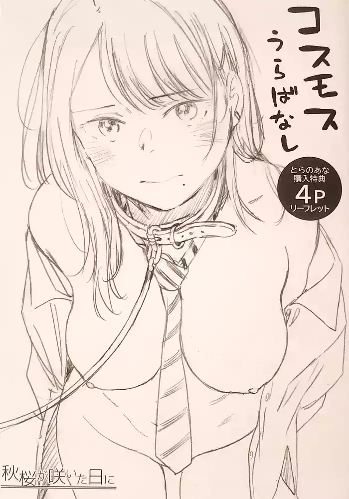 Cosmos ga Saita hi ni Toranoana Tokuten 4P Leaflet