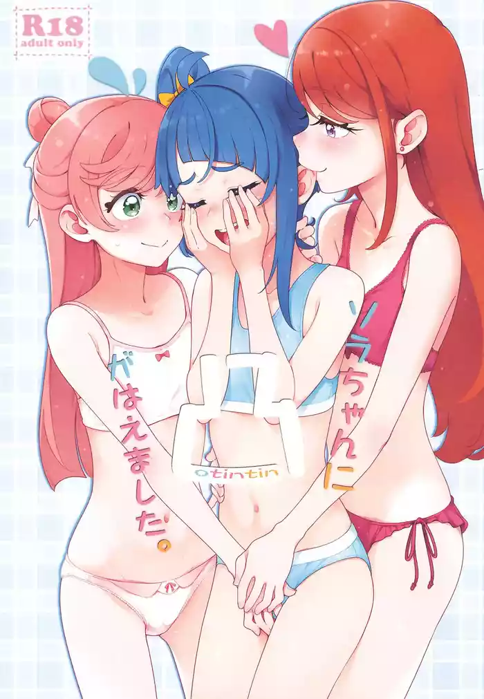 Sora-chan ni otintin ga Haemashita.