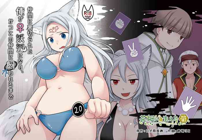 Nakama ni Uragirareta Ore ga Mesu Youko ni Nari, Katsute no Nakama ni Kawareru made