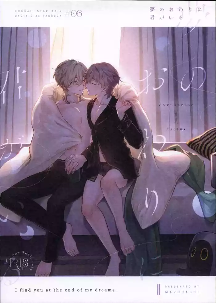 Yume no Owari ni Kimi ga Iru - I find you at the end of my dreams.