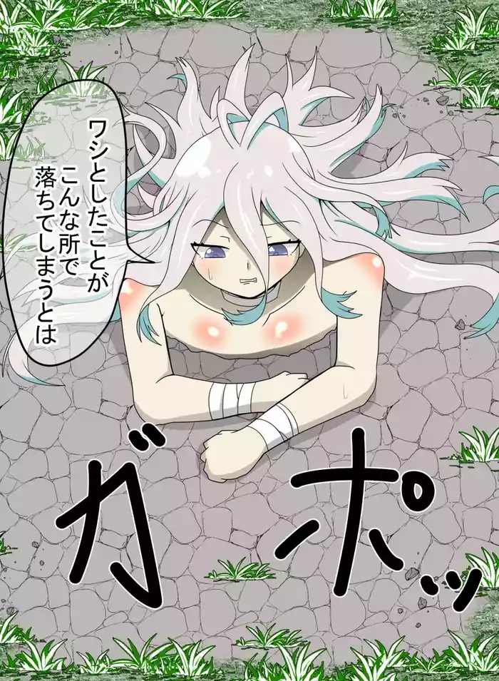 Kankaku Shadan Otoshiana Seizon Flag