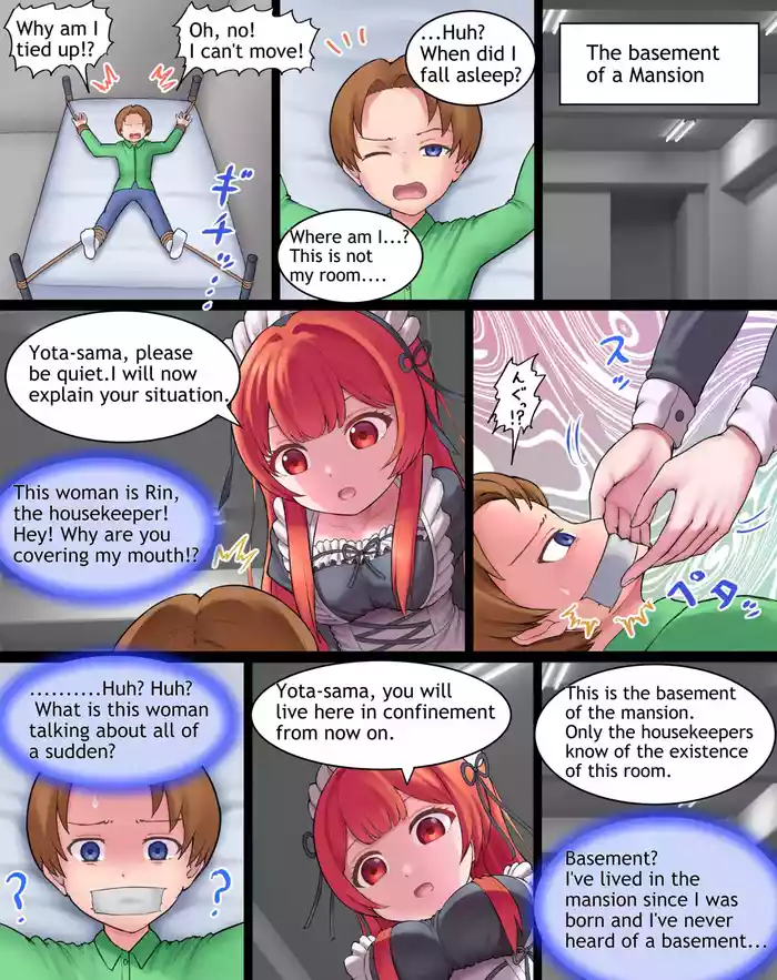 Revenge of the Housekeeper