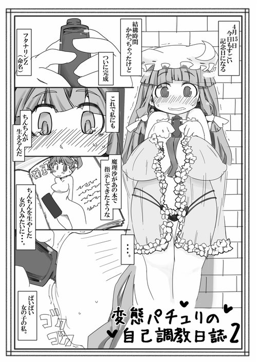 Hentai Patchouli no Jiko Choukyou Nisshi 2