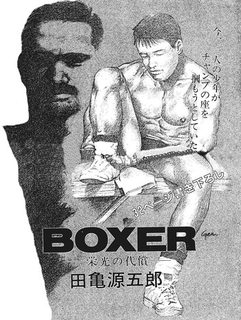 Boxer