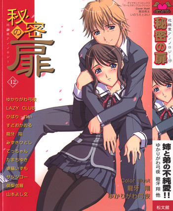 Himitsu no Tobira Vol.12