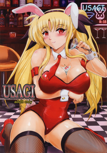 USAGI