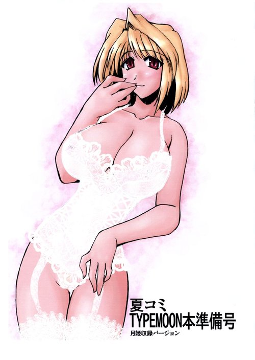 Natsucomi TYPEMOON Hon Junbigou