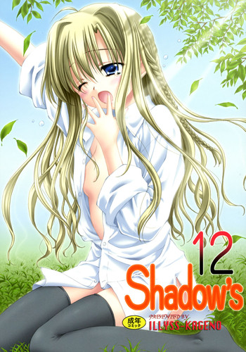 Shadow's 12