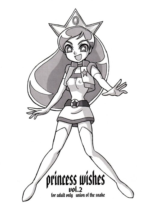 princess wishes vol. 2