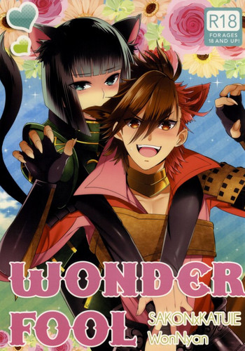 WonderFool