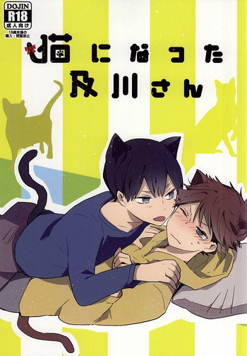 Neko ni Natta Oikawa-san