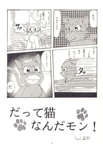 だって猫なんだモン！