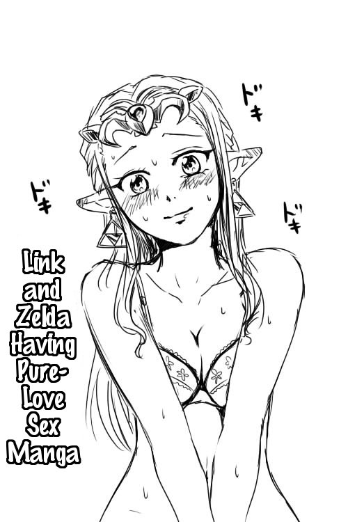 Link to Zelda ga Jun Ai Ecchi suru Manga