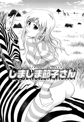 Shimasan | Stripey Stripey Setsuko-san