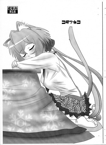 Kotatsu Neko